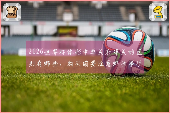 2026世界杯体彩中单关和串关的区别有哪些，购买前要注意哪些事项