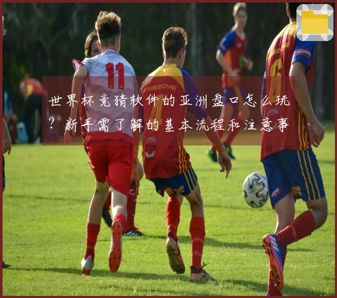 世界杯竞猜软件的亚洲盘口怎么玩？新手需了解的基本流程和注意事项