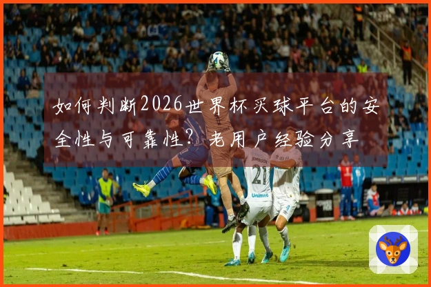 如何判断2026世界杯买球平台的安全性与可靠性？老用户经验分享