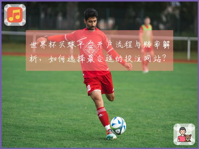 世界杯买球平台开户流程与赔率解析,如何选择最合适的投注网站?