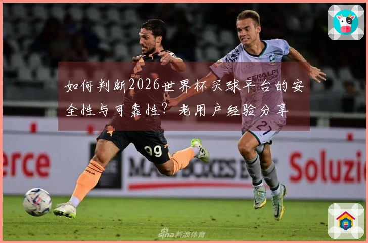 如何判断2026世界杯买球平台的安全性与可靠性？老用户经验分享